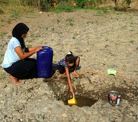 FOTO: Potret Miris Warga Bogor Terdampak El Nino, Gali Sumur di Tengah Sungai Demi Dapatkan Air