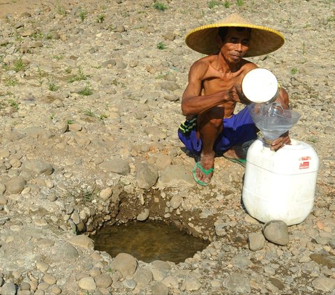 FOTO: Potret Miris Warga Bogor Terdampak El Nino, Gali Sumur di Tengah Sungai Demi Dapatkan Air