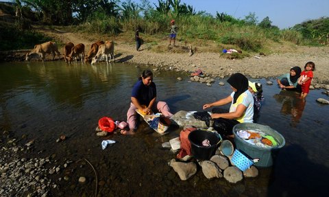 FOTO: Potret Miris Warga Bogor Terdampak El Nino, Gali Sumur di Tengah Sungai Demi Dapatkan Air