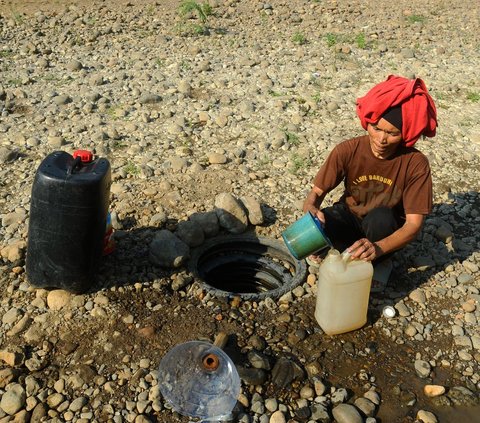 FOTO: Potret Miris Warga Bogor Terdampak El Nino, Gali Sumur di Tengah Sungai Demi Dapatkan Air