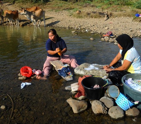 FOTO: Potret Miris Warga Bogor Terdampak El Nino, Gali Sumur di Tengah Sungai Demi Dapatkan Air