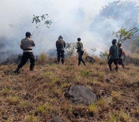 Kebakaran Lereng Gunung Agung Meluas hingga 80 Hektare, Kawasan yang Terbakar Bertambah