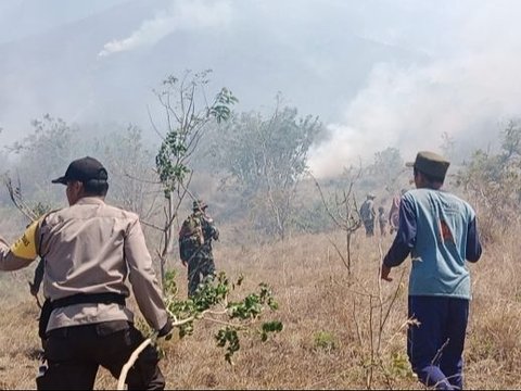 Kebakaran Lereng Gunung Agung Meluas hingga 80 Hektare, Kawasan yang Terbakar Bertambah