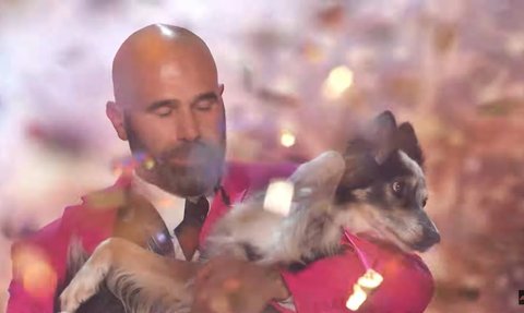 Kalahkan Putri Ariani, Ini Hadiah untuk Tim Akrobat Anjing  Juara Pertama America's Got Talent 2023