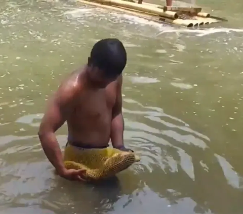 Serunya Tradisi Ngubyag saat Kemarau di Ciamis, Tangkap Ikan di Sungai Pakai Tangan Kosong untuk Eratkan Silaturahmi