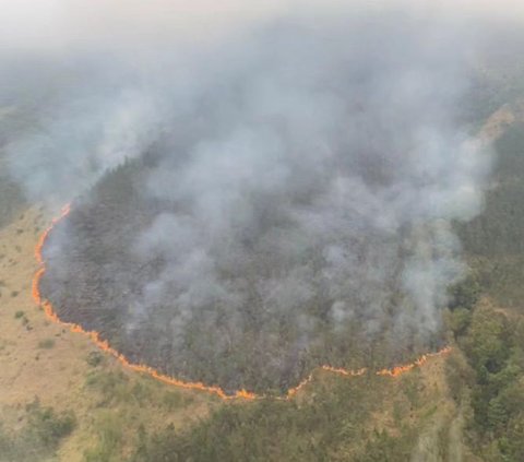 Kebakaran hutan di kawasan Gunung Arjuno terjadi sejak Sabtu (26/8) dini hari. Kebakaran diduga karena aktivitas perburuan liar. Pemburu sengaja membakar hutan untuk memudahkan aktivitas berburu satwa.