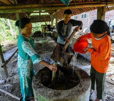 Untuk menciptakan biogas, warga mengambil dan memasukkan kotoran sapi perah ke dalam sebuah reaktor agar menghasilkan biogas sebagai pengganti gas elpiji untuk kebutuhan rumah tangga.