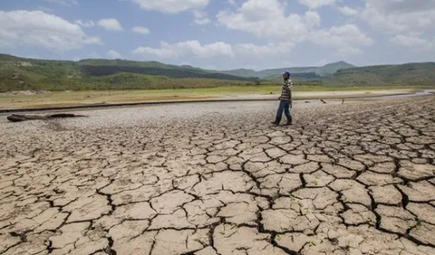 Dia berharap seluruh stakeholder saling bekerja sama agar bisa keluar dari kemarau panjang dan El Nino.