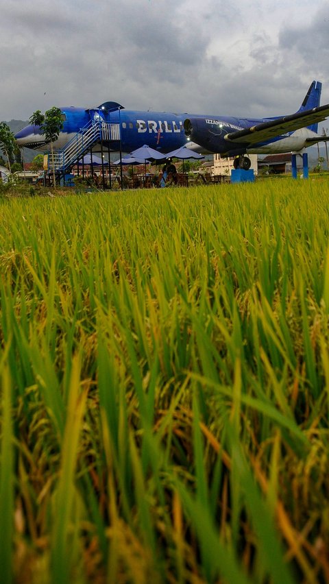 FOTO: Menikmati Sensasi Unik Kafe Pesawat di Tengah Sawah Kabupaten Trenggalek