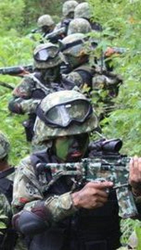 Kontak Senjata dengan TNI-Polri di Pegunungan Bintang, Empat Anggota KKB Tewas