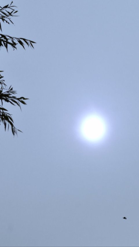 Heboh Penampakan Matahari Berwarna Biru Dikira Tanda Kiamat, Akhirnya Misteri Penyebabnya Terkuak