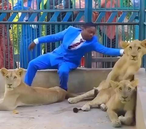 Viral! Man Claims to be God's Chosen Human Entering Lion Cage, Shocking and Angering Netizens with the Facts Behind It