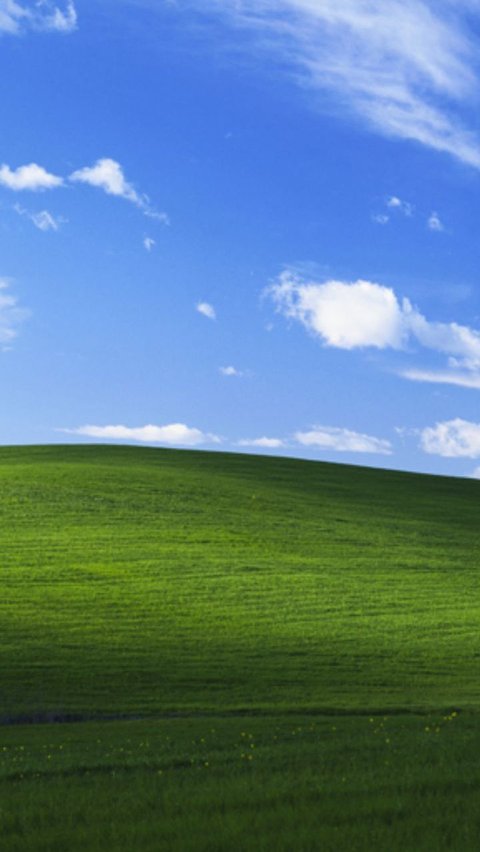 Ini Sosok Pencipta Gambar Wallpaper Microsoft Perbukitan Hijau Diselimuti Awan Biru yang Melegenda