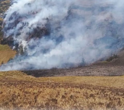 Kebakaran hutan masih mengintai kawasan Taman Nasional Bromo Tengger Semeru (TNBTS). Pada Sabtu (2/9) siang muncul titik api baru di wilayah Selo Kutho, Lautan Pasir TNBTS.