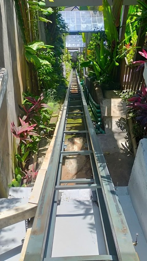 CCTV Recording of the Moment Fatal Elevator Plunge Kills 5 People at Ubud Resort.