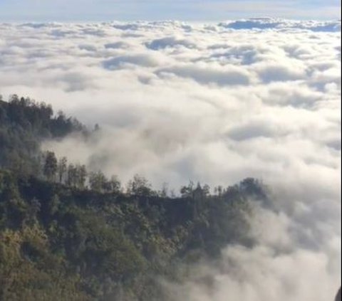 Potret Warung Sederhana di Ketinggian Gunung Bromo, Bak di Negeri Atas Awan