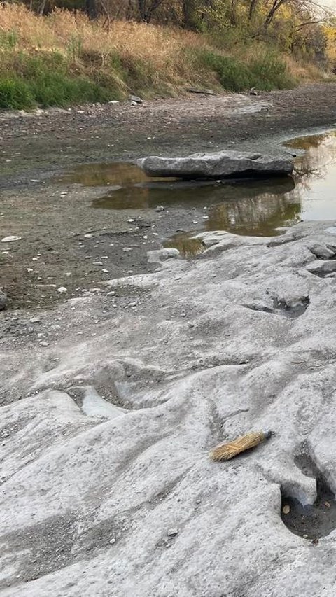 Baker menyatakan musim panas ini adalah yang paling panas yang pernah dialami, dan dia bahkan tidak bisa mengingat sungai Paluxy yang biasanya indah sekarang telah menjadi kering kerontang.