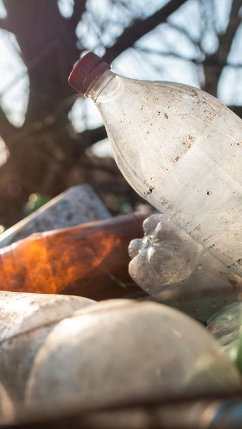 Dampak Membakar Sampah Plastik bagi Lingkungan, Bisa Tingkatkan Pencemaran Udara