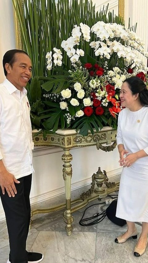 Bertemu Jokowi di Istana, Puan Maharani: Kira-kira Ngobrolin Apa Ya? <br>