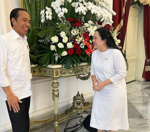 Bertemu Jokowi di Istana, Puan Maharani: Kira-kira Ngobrolin Apa Ya?