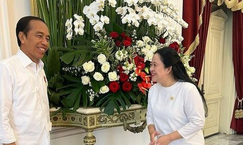 Bertemu Jokowi di Istana, Puan Maharani: Kira-kira Ngobrolin Apa Ya?