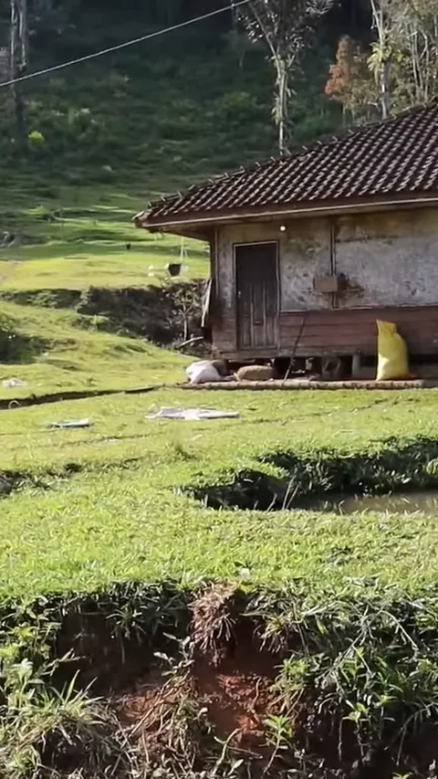 Kampung Naringgul di Cianjur Disebut Mirip Pegunungan Alpen Swiss, Yuk Intip Potret Indahnya