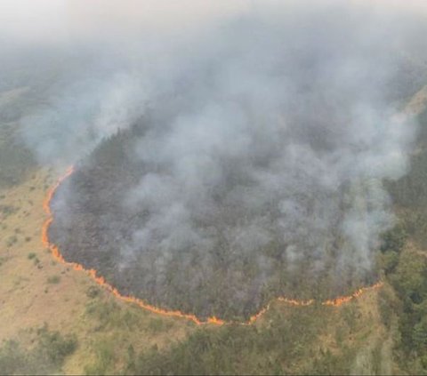 Kebakaran Gunung Arjuno-Welirang Meluas, Akses Wisata Alam Ditutup