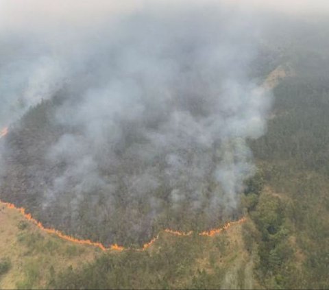 Kebakaran Gunung Arjuno-Welirang Meluas, Akses Wisata Alam Ditutup