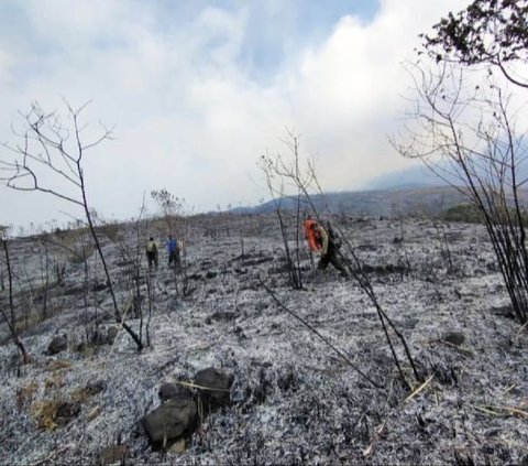 Kebakaran Gunung Arjuno-Welirang Meluas, Akses Wisata Alam Ditutup