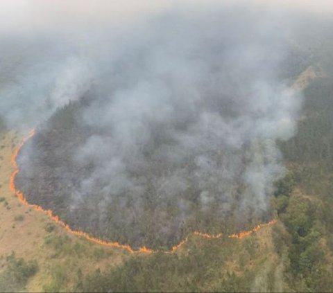 Kebakaran Gunung Arjuno-Welirang Meluas, Akses Wisata Alam Ditutup