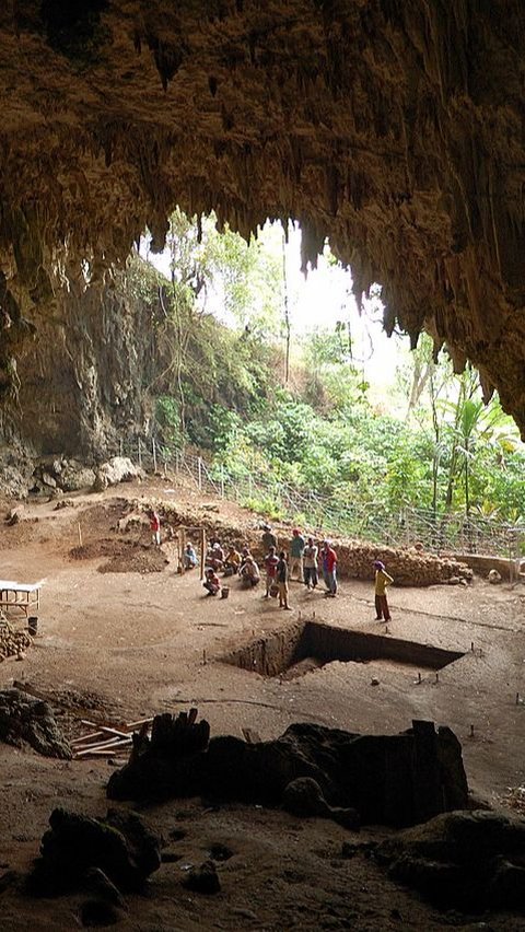 Kisah Penemuan Fosil Manusia Kerdil di Indonesia yang Mengubah Sejarah tentang Asal-Usul Manusia<br>