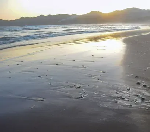 Viral Kampus PTN Pertama di Indonesia dengan View Laut, Pulang Kuliah Bisa Lihat Sunset