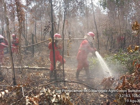 Kebakaran di Taman Nasional Bromo Tengger Semeru Padam, Total 661 Hektare Lahan Terdampak