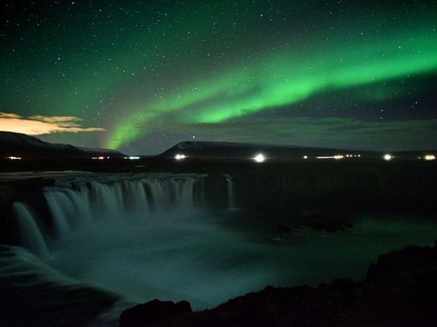 Islandia Satu-satunya Negara Tanpa Gangguan Nyamuk, Kok Bisa?