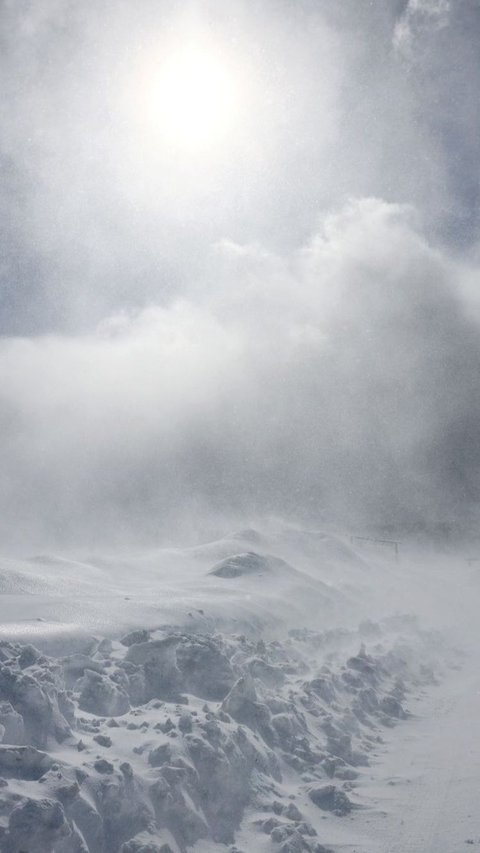 Salah satu alasan yang paling dikenal adalah kondisi cuaca yang sangat dingin sehingga membuat nyamuk tak dapat berkembang biak. Islandia sendiri memiliki titik beku mencapai -38 derajat celsius.