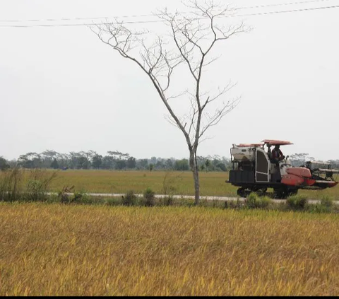 PT Sang Hyang Seri Luncurkan Program Pembayaran Real-time Ke Mitra Petani Sukamandi