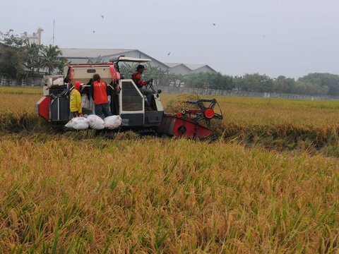 PT Sang Hyang Seri Luncurkan Program Pembayaran Real-time Ke Mitra Petani Sukamandi