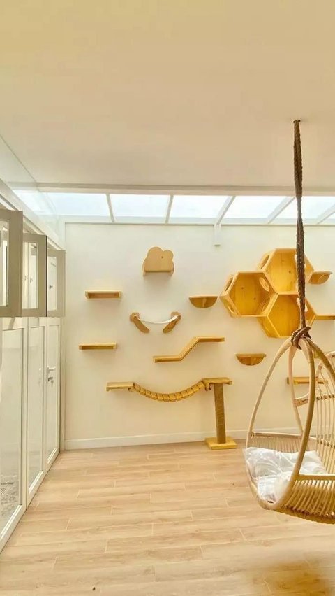There are many Instagrammable areas in Nur Shoffa's house. One of them is this aesthetic cat play area.