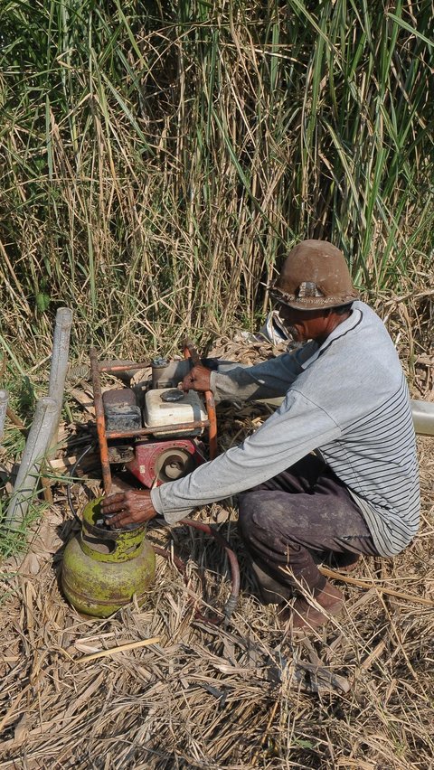 FOTO: Petani Konversi Pompa Air BBM ke Gas Elpiji untuk Aliri Sawah saat Fenomena El Nino