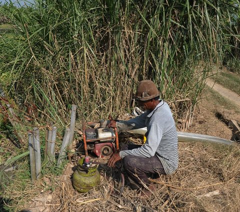 FOTO: Petani Konversi Pompa Air BBM ke Gas Elpiji untuk Aliri Sawah saat Fenomena El Nino