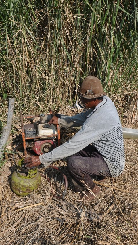 Hasilnya, pompa air berbahan bakar gas elpiji 3 kg terasa jauh lebih hemat.