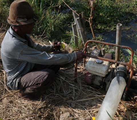 FOTO: Petani Konversi Pompa Air BBM ke Gas Elpiji untuk Aliri Sawah saat Fenomena El Nino