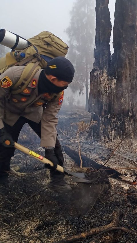 Sebaran titik api merambat ke wilayah Kabupaten Malang, Kabupaten Pasuruan dan Kota Batu. Karhutla di Kawasan Gunung Arjuno terus meluas melebihi 1.300 hektare.