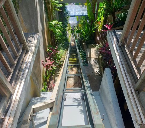 Ayu Terra Resort di Desa Kedawetan, Ubud, Gianyar, Bali ditutup buntut insiden lift jatuh yang menewaskan lima orang. Seluruh tamu yang menginap pada saat peristiwa terjadi telah dipindahkan ke tempat lain.