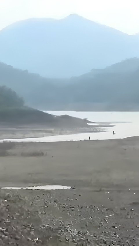 Terdampak Kemarau, Begini Potret Waduk Jatiluhur yang Kini Surut