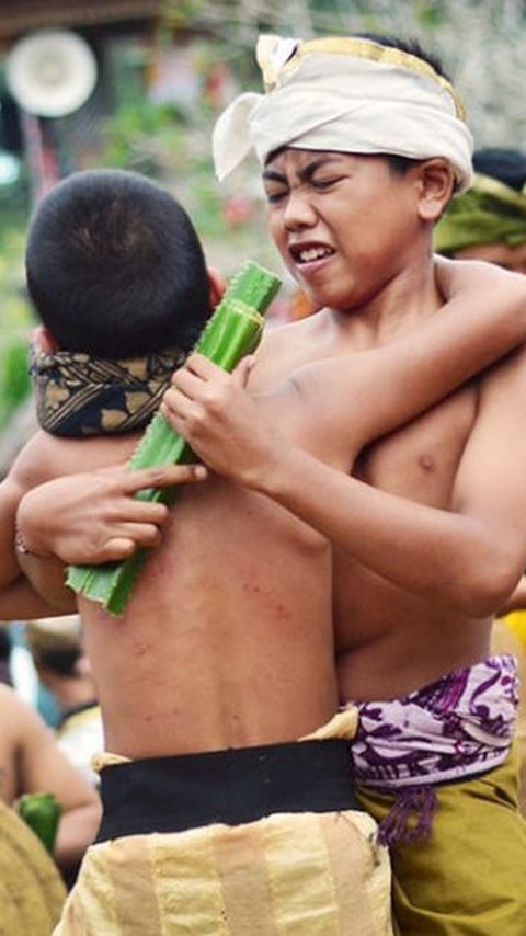 Mereka hanya membawa pandan sebagai senjata dan perisai dari rotan untuk melindungi diri. <br>