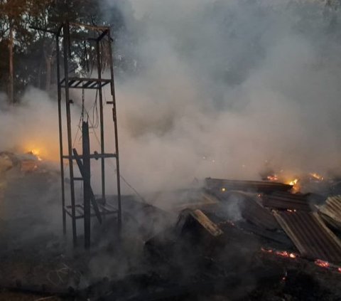 Ribuan Ayam di Semarang Terpanggang Hidup-Hidup