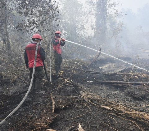 Kabut Asap Dampak Karhutla Menggila di Palembang, Penderita ISPA Naik Drastis