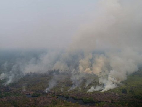 Kabut Asap Dampak Karhutla Menggila di Palembang, Penderita ISPA Naik Drastis