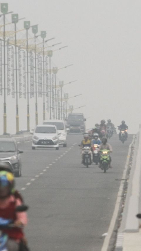 Kabut Asap Dampak Karhutla Menggila di Palembang, Penderita ISPA Naik Drastis